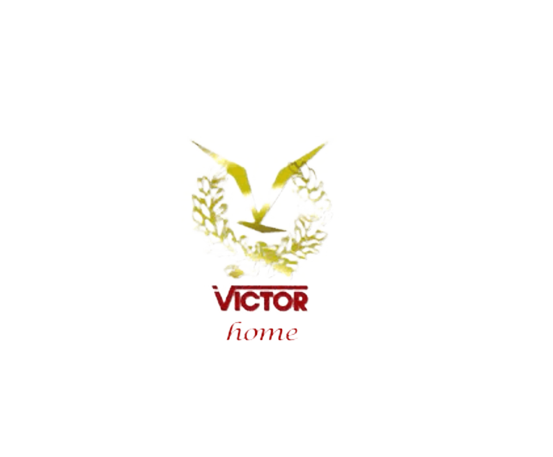 victor 2.9